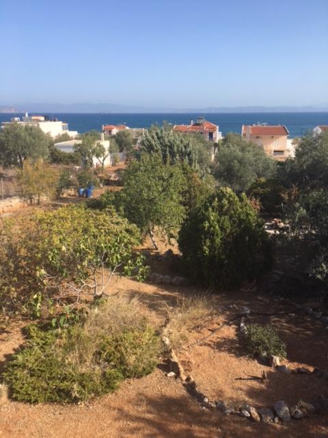 Skála Aiolos מראה חיצוני תמונה
